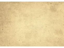 Alpina Konzentrat Mineral Beton 65 ml