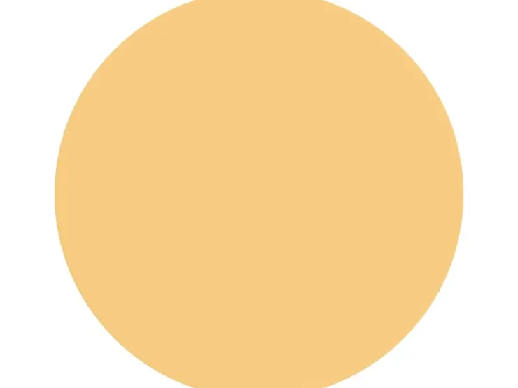 Alpina Wandfarbe Pure Farben 2,5 l* Innenfarben