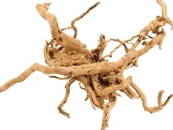 Aquarienwurzel Spiderwood Stück ca. 20 cm -30 cm* Terraristik