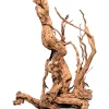 Aquriendekoration Curl-Holz S* Terraristik