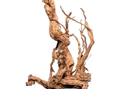 Aquriendekoration Curl-Holz S* Terraristik