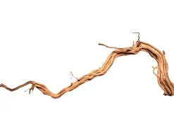 Aquriendekoration Curl-Holz S* Terraristik