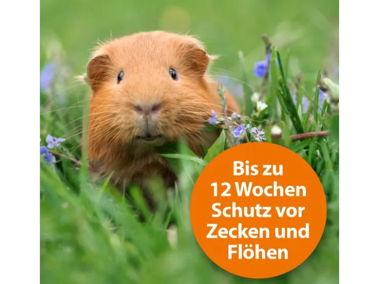 ARDAP Spot-On für Kleintiere von 1 - 4 kg