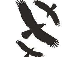 Aufkleber "Kontur Vogel" 30 cm x 20 cm PVC-Folie