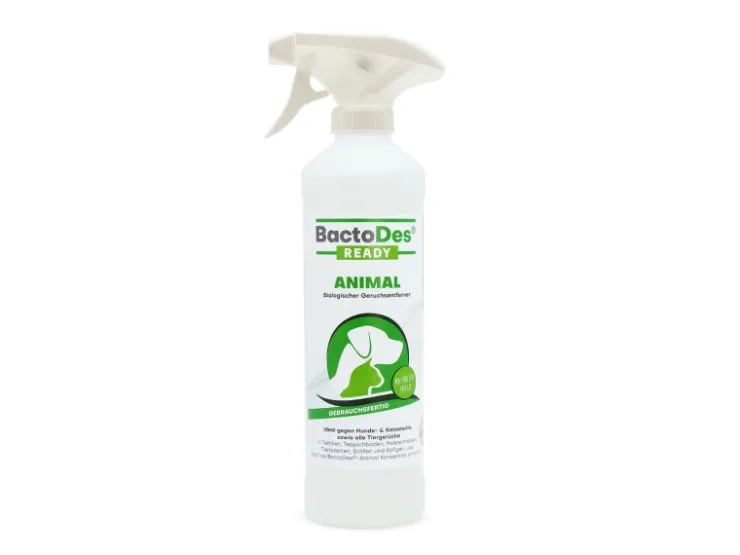 BactoDes Animal Ready Gebrauchsfertiges Reinigungsmittel und Geruchsentferner als Spray in 500 ml Flasche* Reinigung