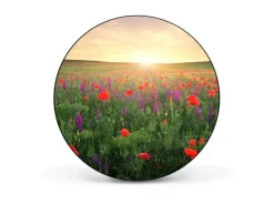 Banjado Magnettafel Rund Größe 47cm Magnetwand Schwarz Aus Metall Magnetpinnwand Pinnwand Motiv Sommerfeld* Pinnwände