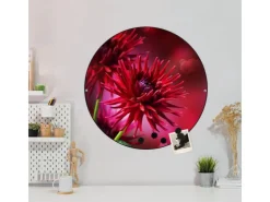 Banjado Magnettafel Rund Größe 47cm Magnetwand Schwarz Aus Metall Magnetpinnwand Pinnwand Motiv Rote Dahlien* Pinnwände
