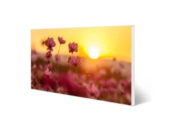 Banjado Magnettafel 78x37cm Magnetwand Weiß Aus Metall Magnetpinnwand Pinnwand Inkl. 4 Magnete Motiv Cosmea Feld* Wanddekoration