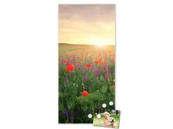 Banjado Magnettafel 37x78cm Magnetwand Weiß Aus Metall Magnetpinnwand Pinnwand Inkl. 4 Magnete Motiv Sommerfeld* Pinnwände