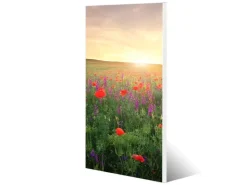 Banjado Magnettafel 37x78cm Magnetwand Weiß Aus Metall Magnetpinnwand Pinnwand Inkl. 4 Magnete Motiv Sommerfeld* Pinnwände