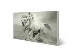 Banjado Magnettafel 78x37cm Magnetwand Silber Aus Metall Magnetpinnwand Pinnwand Inkl. 4 Magnete Motiv Wilde Pferde Sw* Wanddekoration