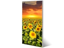 Banjado Magnettafel 37x78cm Magnetwand Silber Aus Metall Magnetpinnwand Pinnwand Inkl. 4 Magnete Motiv Sonnenblumenmeer* Pinnwände