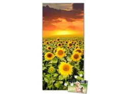 Banjado Magnettafel 37x78cm Magnetwand Silber Aus Metall Magnetpinnwand Pinnwand Inkl. 4 Magnete Motiv Sonnenblumenmeer* Pinnwände