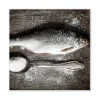 Banjado Magnettafel 50x50cm Magnetwand Weiß Aus Metall Magnetpinnwand Pinnwand Inkl. 4 Magnete Motiv Fisch Und Salz