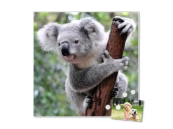 Banjado Magnettafel 50x50cm Magnetwand Weiß Aus Metall Magnetpinnwand Pinnwand Inkl. 4 Magnete Motiv Koala
