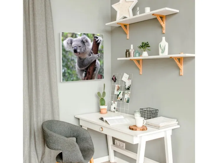 Banjado Magnettafel 50x50cm Magnetwand Weiß Aus Metall Magnetpinnwand Pinnwand Inkl. 4 Magnete Motiv Koala
