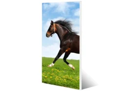 Banjado Magnettafel 37x78cm Magnetwand Weiß Aus Metall Magnetpinnwand Pinnwand Inkl. 4 Magnete Motiv Pferd* Pinnwände