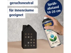 belton Free AQUAcolours Buntlack RAL 9005 seidenglänzend 400 ml* Sprühlacke