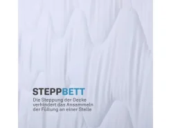 Bestlivings 4 Jahreszeitenbett mit Blauer Biese 200 cm x 220 cm