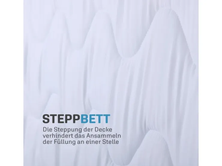 Bestlivings 4 Jahreszeitenbett mit Blauer Biese 200 cm x 220 cm