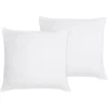 Bestlivings Kopfkissen 2er Pack Mikrofaserbezug 80 x 80 cm