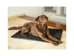 Bestlivings Thermotierdecke Wärmeisolierend Schwarz 70 x 100 cm* Hundebedarf