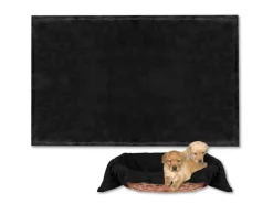 Bestlivings Tierdecke Hundedecke Mikrofaser 70 x 100 cm Schwarz