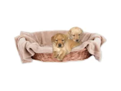 Bestlivings Tierdecke Hundedecke Mikrofaser 90 x 140 cm Sandbeige* Überwürfe
