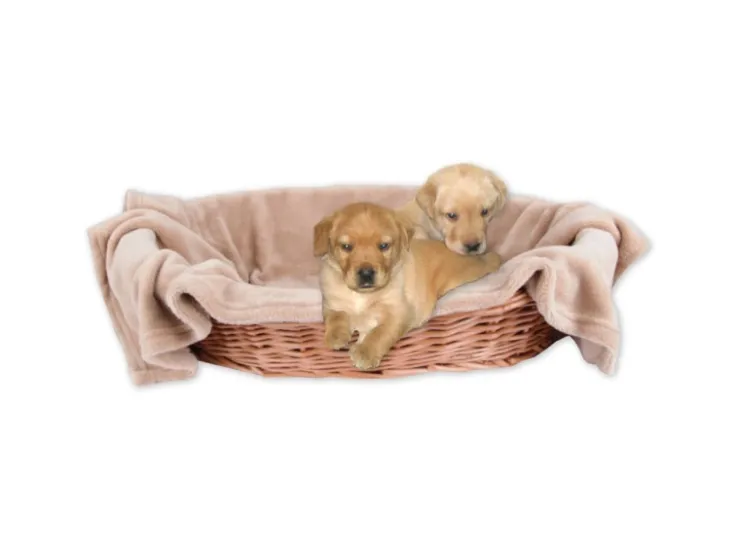 Bestlivings Tierdecke Hundedecke Mikrofaser 90 x 140 cm Sandbeige* Überwürfe
