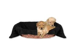 Bestlivings Tierdecke Hundedecke Mikrofaser 80 x 120 cm Schwarz* Überwürfe