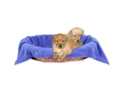 Bestlivings Tierdecke Hundedecke Mikrofaser 90 x 140 cm Blau* Hundebedarf|Überwürfe