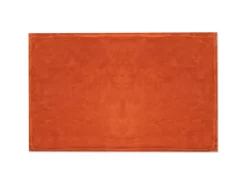 Bestlivings Tierdecke Hundedecke Mikrofaser 70 x 100 cm Terracotte* Überwürfe
