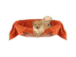Bestlivings Tierdecke Hundedecke Mikrofaser 70 x 100 cm Terracotte* Überwürfe