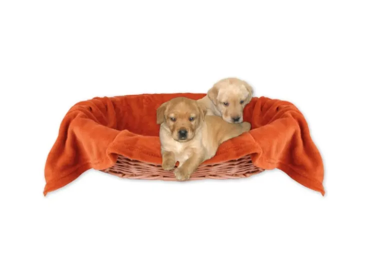 Bestlivings Tierdecke Hundedecke Mikrofaser 70 x 100 cm Terracotte* Überwürfe