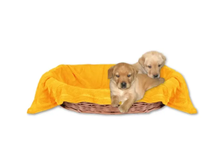 Bestlivings Tierdecke Hundedecke Mikrofaser 80 x 120 cm Hellorange* Überwürfe