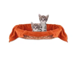 Bestlivings Tierdecke Katzendecke Mikrofaser 80 x 120 cm Terracotta* Überwürfe