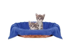 Bestlivings Tierdecke Katzendecke Mikrofaser 70 x 100 cm Blau* Überwürfe