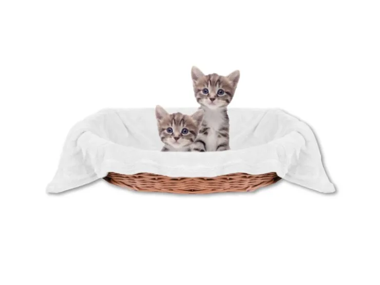 Bestlivings Tierdecke Katzendecke Mikrofaser 70 x 100 cm Weiß* Überwürfe