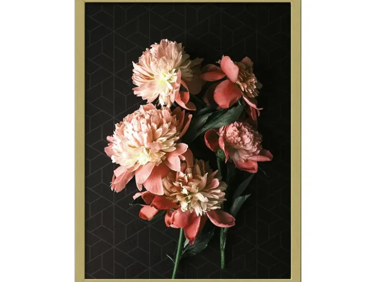 Pro Art Bild mit Rahmen Anonymus Beautiful Roses II 42,5 cm x 32,5 cm* Bilder