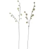Boltze Dekozweig Sassy 2-fach Sortiert 6 cm x 8 cm x 83 cm Beige* Kunstpflanzen