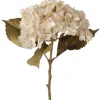 Boltze Stielblume Hortensie 52 cm x 25 cm x 9 cm Natur* Geschenkartikel