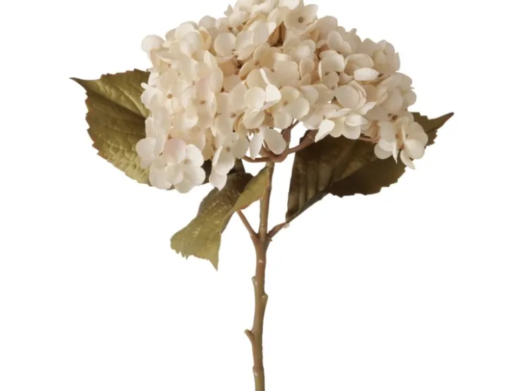 Boltze Stielblume Hortensie 52 cm x 25 cm x 9 cm Natur* Geschenkartikel