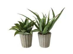 Boltze Topfpflanze Aloe Vera 2-fach Sortiert 50 cm x 15 cm x 50 cm Grün* Kunstpflanzen
