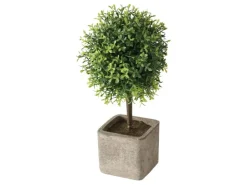 Boltze Topfpflanze Amos 2-fach Sortiert 26 cm x 12 cm x 26 cm Grün* Kunstpflanzen