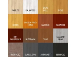 BONDEX Dauerschutz-Farbe (RAL 9017) seidenglänzend 2,5 l* Holzfarben