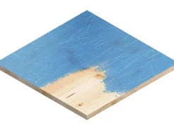 Bosch Expert Schleifblatt C470 100 mm x 150 mm K60 10 Stück