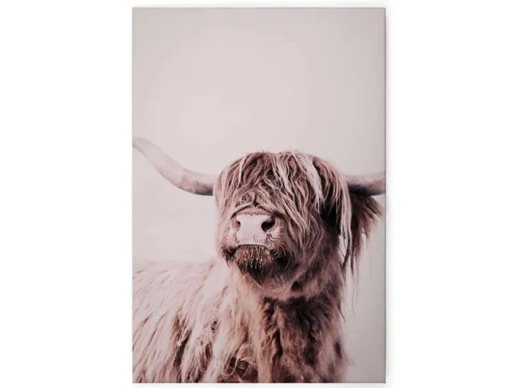 Bricoflor Bild Leinwand Schottisches Hochlandrind Weiß Beige Kuh Wandbild Im Modernen Landhausstil Leinwandbild Für Esszimmer* Wanddekoration