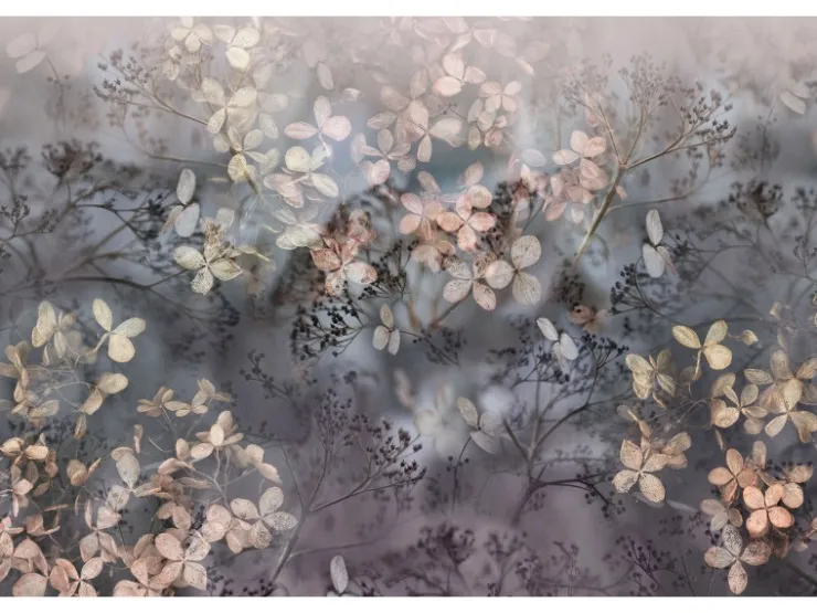 Bricoflor 3D Tapete mit Blumen Vlies Fototapete Floral Ideal für Wohnzimmer und Esszimmer Herbst Blumentapete Modern in Grau Beige* Fototapeten