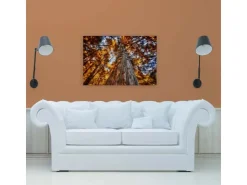 Bricoflor Herbstbild Auf Leinwand Baumkronen Bild Orange Blau Für Wohnzimmer Und Büro Leinwandbild Mit Herbstwald In 90 X 60 Cm* Wanddekoration