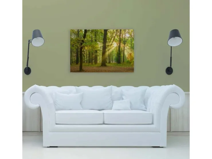 Bricoflor Herbstwald Leinwand Grün Deko Wandbild In 90 X 60 Cm Für Büro Und Schlafzimmer Bild Mit Wald In Sonne Romantisch* Wanddekoration